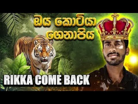 කුකුල් චමින්ද පිහිටයී 70K  | Freefire Live #freefiresrilanka