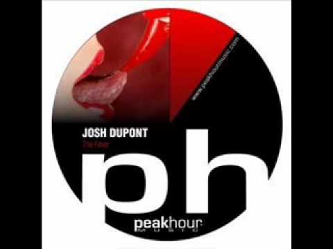 Josh Dupont - The Fever (DJ 0045 remix)