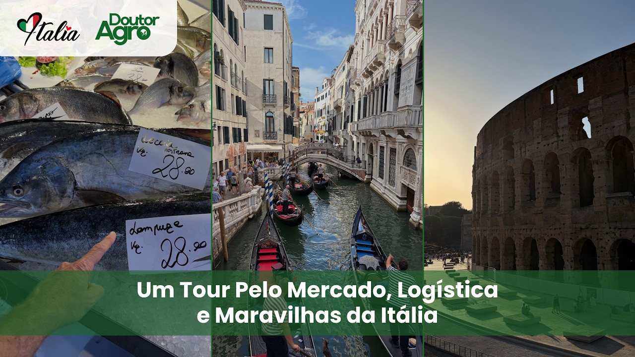 Um Tour Pelo Mercado, Logística e Maravilhas da Itália | DoutorAgro | Marcos Fava Neves