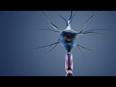 Na rubu znanosti: Vagus - živac suosjećanja