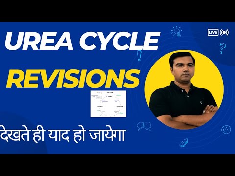Urea Cycle  (Trick to learn)
