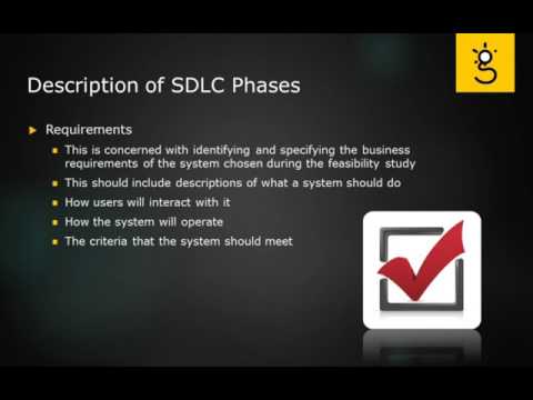 1 Business Realization