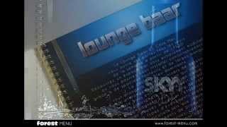 Impression menu restaurant - Lounge Bar " SKYY Vodka "
