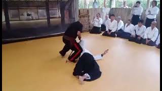 Arnis Aikido Demo 5