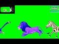Cartoon Animal Walking Video Animals Stampede Green Screen Video Animal Cartoon Video