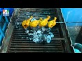 CHICKEN FRY NON VEG RECIPES IN INDIA Street Food