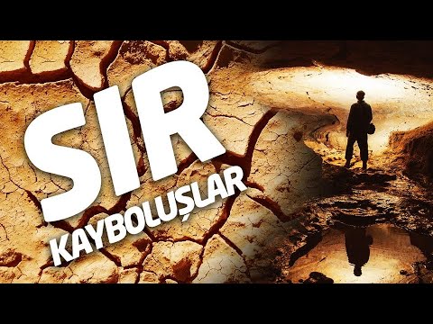 Mysterious Disappearances: The Missing YouTuber and the Teen Who Evaporates in the Night