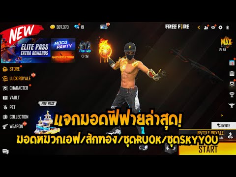 ฟีฟาย ruok