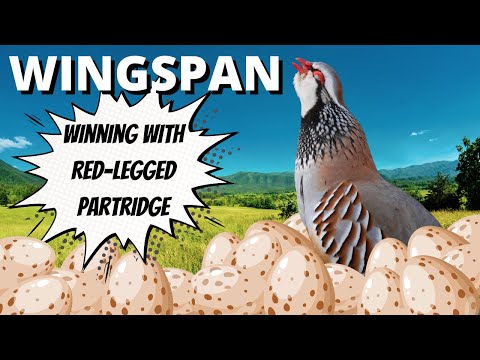 The Power of Partridge: Wingspan Board Game Gameplay - YouTube