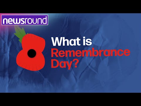 Remembrance Day: What is it and why is it important? | Newsround