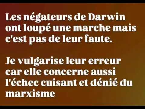 L'homme est un singe mais dans le sens positif du terme: grenouilles et fourmis sont des hommes