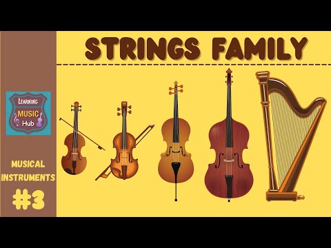 STRINGS FAMILY | INSTRUMENTS OF THE ORCHESTRA | LESSON #3 | LEARNING MUSIC HUB | ORCHESTRA