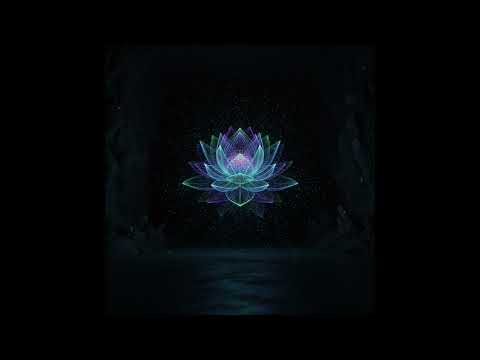 StaticRose- Static bloom in the dark