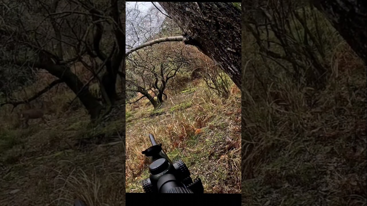 最終日のベストショット