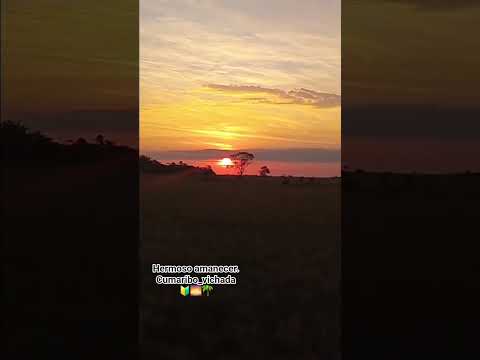 hermoso amanecer 🌅 #cumaribo #vichada #hermosospaisajes #llanopuro