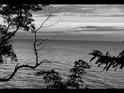 The First Verse Chorus Verse 9/5/21