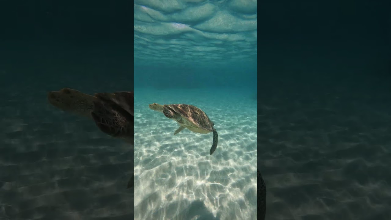 YouTube Short thumbnail