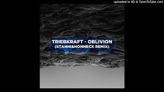 Triebkraft - Oblivion (Stanni & Honneck Remix)