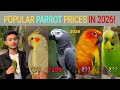 2025 Mey Birds Ka Key Price Chal Raha Hey Popular Exotic Parrots Price 2025
