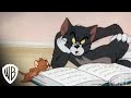 Tom And Jerry Deluxe Anniversary Collection Curious Warner Bros Entertainment
