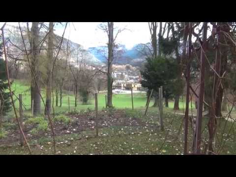 Swissy killed Sisi: Empress Elisabeth Kaiserin von Habsburg & Switzerland`s Anarchist Luigi Lucheni