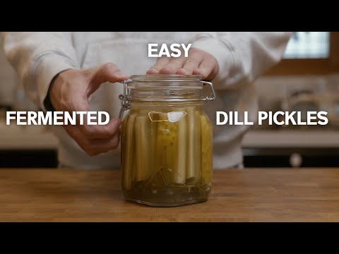 How to make FERMENTED Dill Pickles