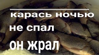 Зимняя ловля карася зимой ночью