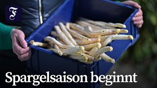 Deutschland startet in die Spargelsaison