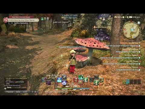 FINAL FANTASY XIV SOLO PLAYTHROUGH #70: BOTANIST LEVEL 30 GRIND & CLASS QUEST