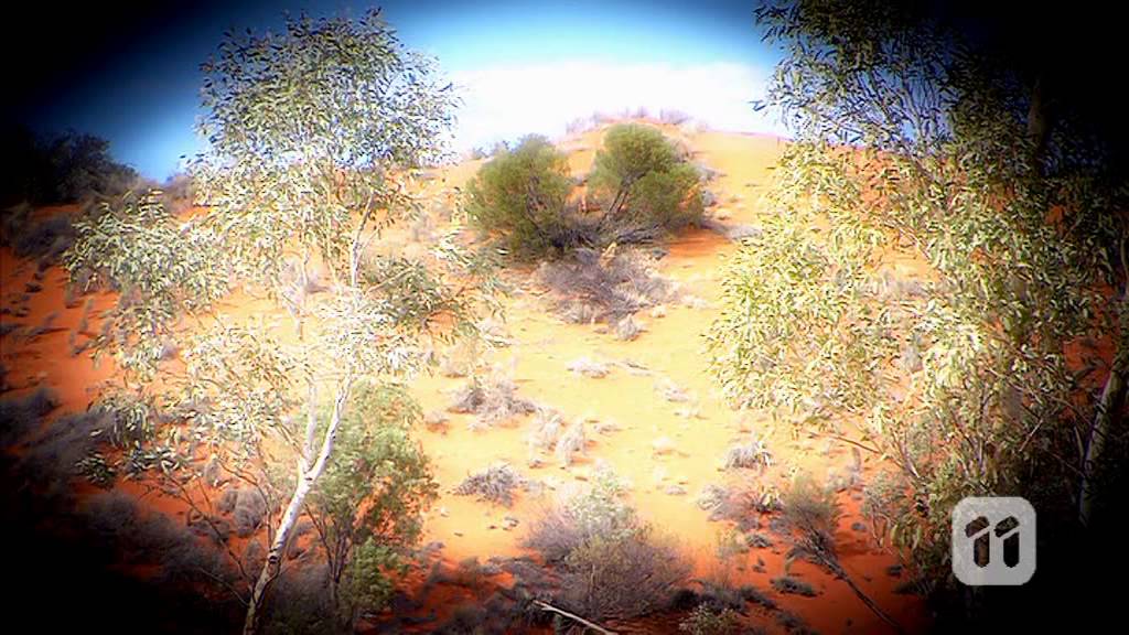 Scope special: Dino Dig