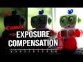 Canon EXPOSURE COMPENSATION and Priority Modes | DSLR Photography Tutorial