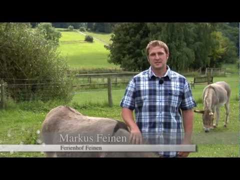 Video 4 aus  Ferienhof Feinen