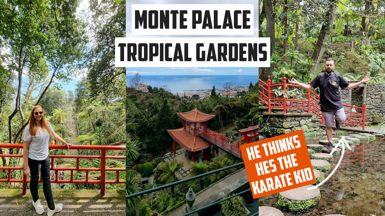 Join travelers as they explore Monte Palace Tropical Garden.