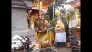 preview picture of video 'Balinese Family Temple Ceremony named Odalan.'