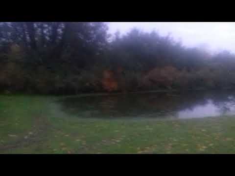 Översvämning i önnestad