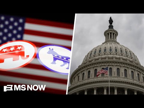 U.S. political parties face ‘chronic unpopularity’ as America approaches 250th birthday