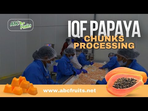 Revolutionizing Healthy Snacks: Inside the 2024 IQF Papaya Chunks Processing Phenomenon!