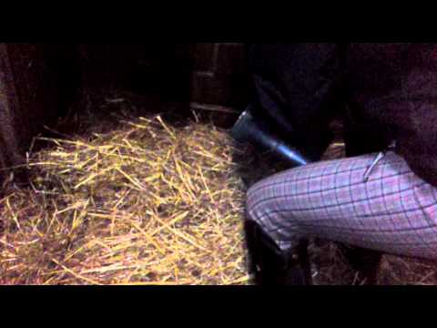 Caro & Sara VS. Vogel :D