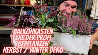 Balkonkasten mit Pflanzen für Herbst Winter selber bepflanzen - Anleitung vom Profi für deine Deko