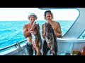 $450 Fish VS Grouper, Sharks & Sea Snake - Catch n Cook