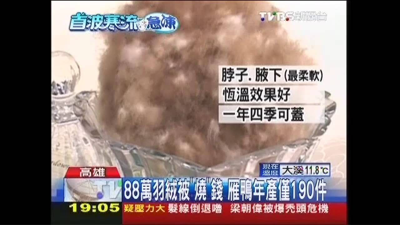 3秒吸熱3度! 冰島雁鴨被88萬狂賣4件