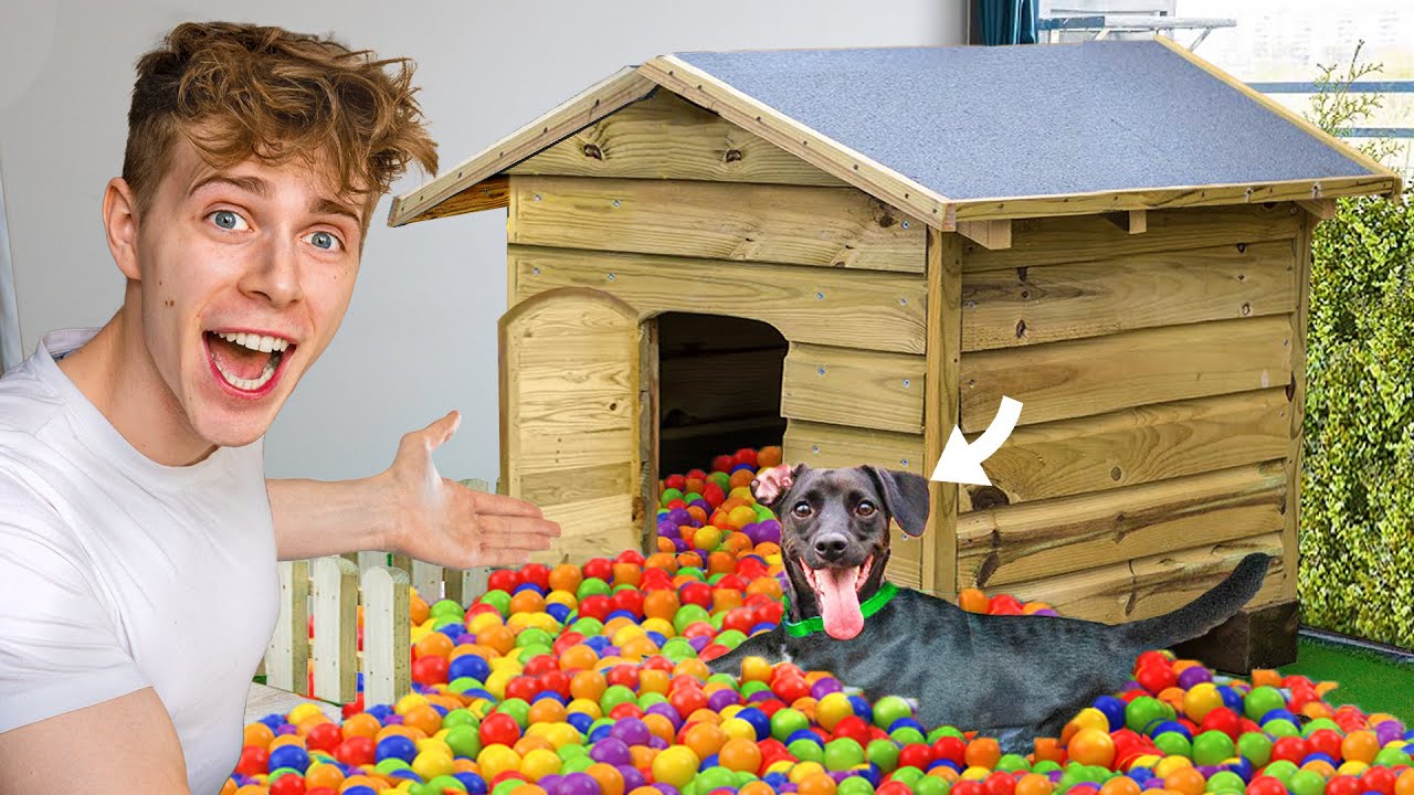 ZBUDOWAŁEM WIELKI DOM DLA PSA!