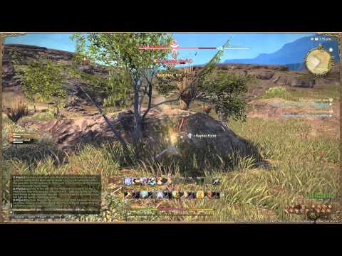 Final Fantasy XIV  A Realm Reborn - Pugilist Lv20 Quest - Keeping the Spirit Alive