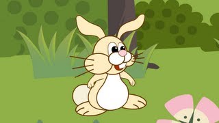 Mon petit lapin s'est sauvé dans le jardin