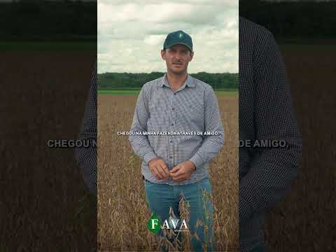 Paulo Dalcin - Agricultor em Canarana - MT