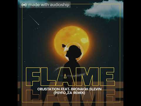 Crustation Feat. Bronagh Slevin - Flame (Psyfo_ZA Remix)