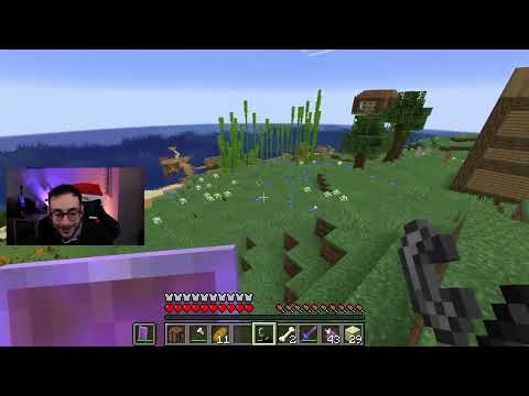 HO QUASI RISCHIATO DI PERDERE IL MONDO - Minecraft Tik Tok Live