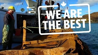 This Nova Scotia fishery is collecting giant scallops sustainably | We Are the Best | CBC