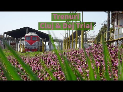 Trenuri prin Cluj & Dej Triaj