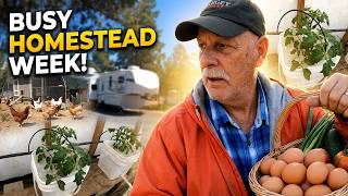 Gardening, Projects, and a Busy Week on the Homestead!